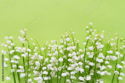 Romantic gentle flower background, lily of the valley on a green background, top view, flat layout.  photo