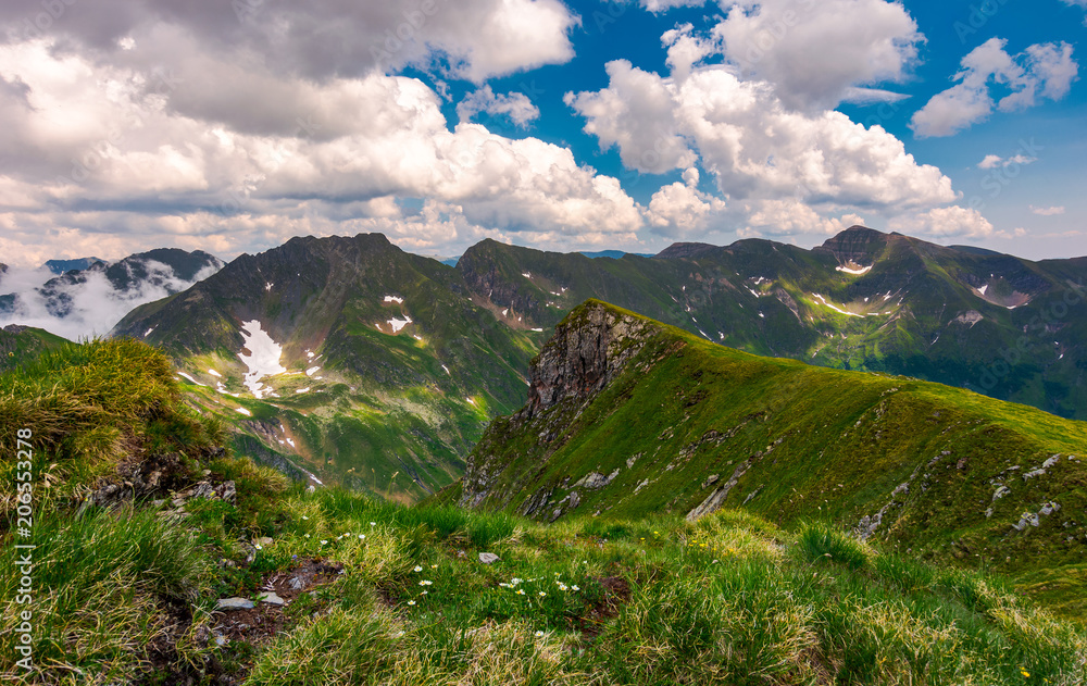 Naklejka premium grassy hill on rocky cliffs of Fagaras mountains. beautiful summer landscape of Southern Carpathians, Romania