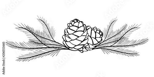 Pine Branches and Pine Cones