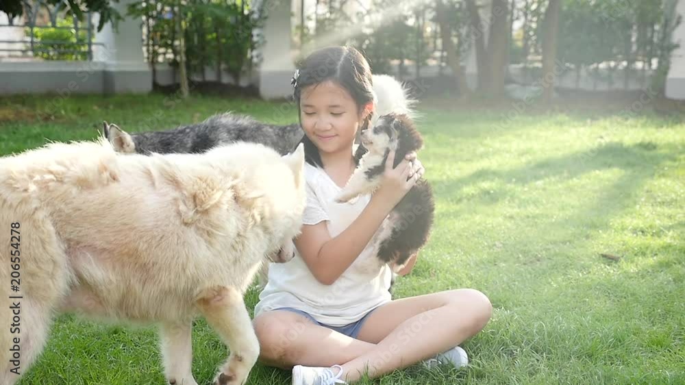 Happy Asian children playing with siberian husky dog in the garden slow motion Happy Asian children playing with siberian husky dog in the garden slow motion