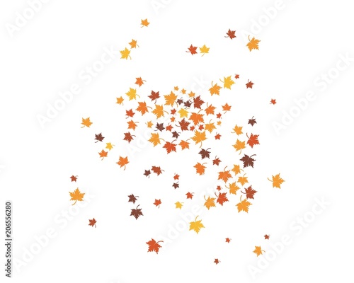 autumn Leaf Logo template