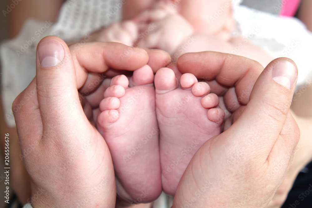 baby's feet in the hands of the parent, close-up, baby's feet in the hands of the parent, close-up,