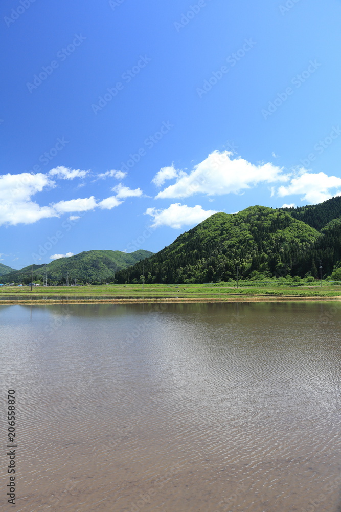 春　田舎の田園風景　青空　白い雲　水田