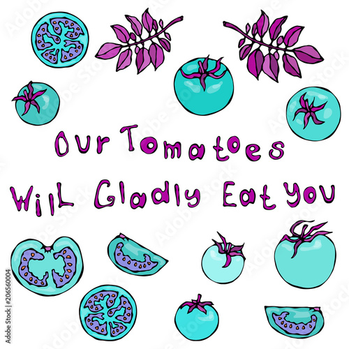 Our Tomatoes Will Gladly Eat You Lettering. Crazy Blue Turquoise Tomatoes with Pink Leaves. Predatory Vegetables Series. Realistic Hand Drawn Illustration. Savoyar Doodle Style.