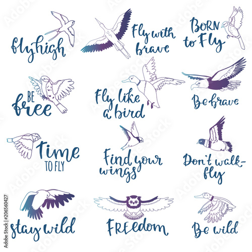 Bird lettering vector text fly high and flying birdie swallow with feather wings illustration set of owl freedom print for typography with handwritten letters isolated on white background
