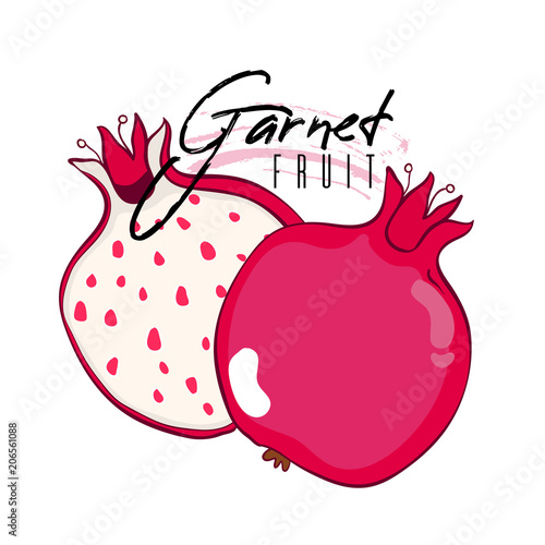 Vector isolated red garnet with a cut with text on a white background.