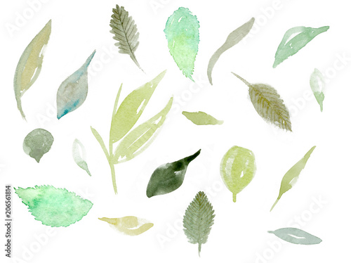 set of watercolor leaf illustration on white background