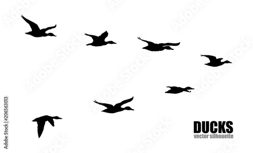 Vector silhouettes of ducks.
