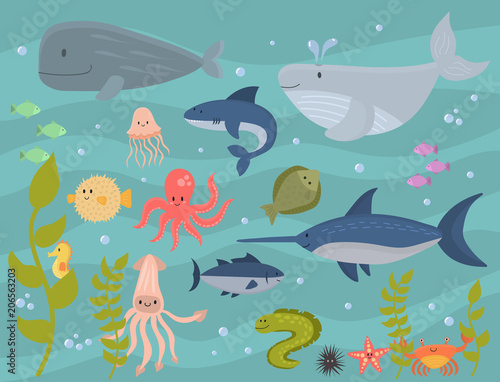 Sea animals vector creatures characters cartoon ocean wildlife marine underwater aquarium life water graphic aquatic tropical beasts illustration.