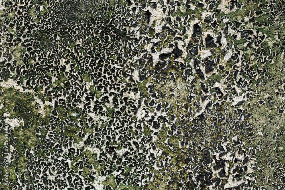 Patterned and textured plaster wall for background. Patterned and textured plaster wall for background.