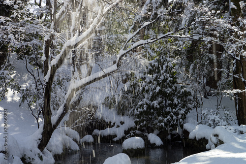 冬の金沢 雪の兼六園