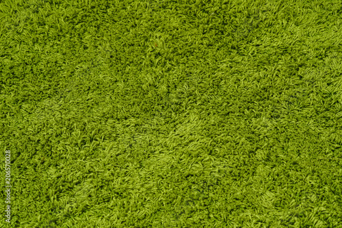 Green carpet background.