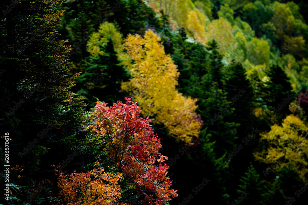 photo photo