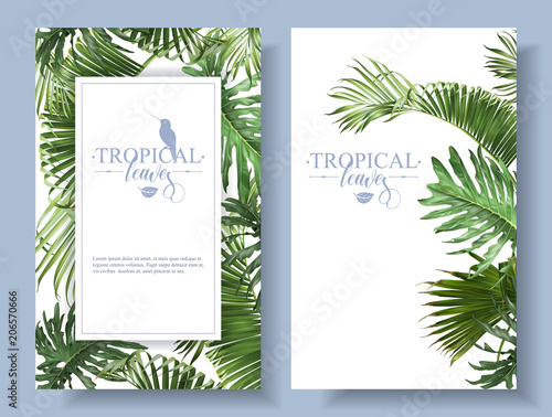 Tropical leaves frames