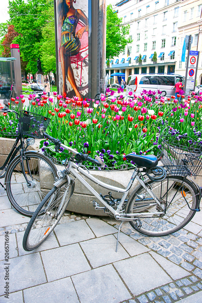 Bicycles and street flowerbed at old center of Munich