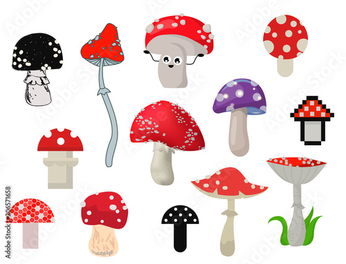 Vector amanita mushrooms dangerous set poisonous season toxic fungus food illustration.