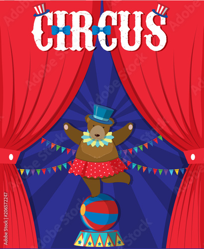 Bear Show Behind Circus Curtain