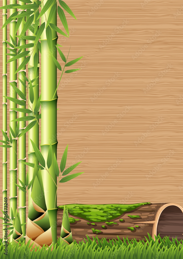 Fototapeta premium Bamboo and Bamboo Shoot Template