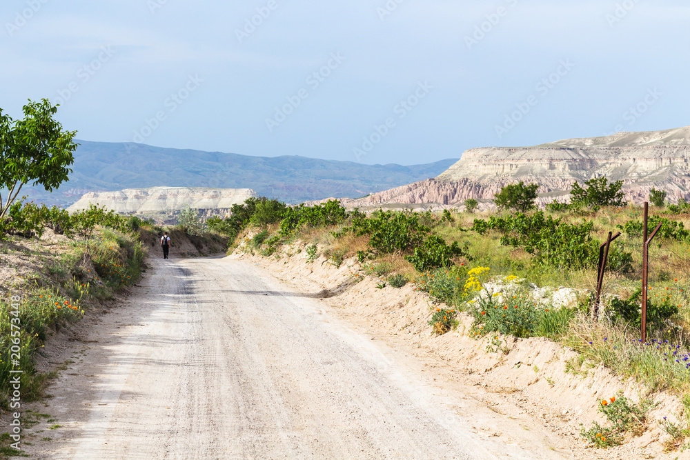 country road in Goreme National Park in Cappadocia