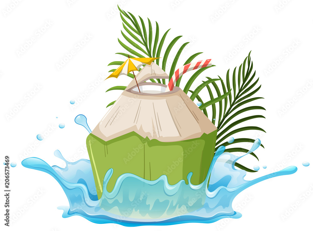 Fototapeta premium A Coconut Drink on White Background