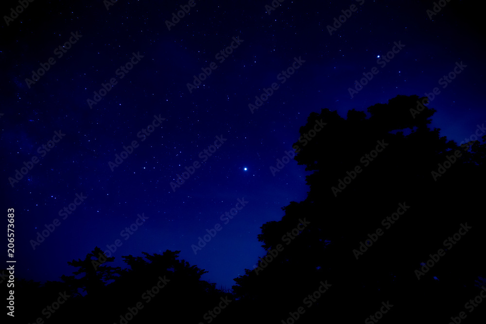 Obraz premium 仁田峠の星空