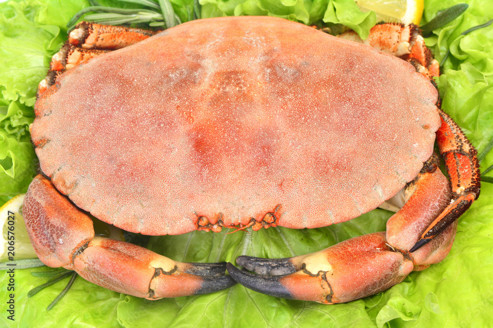 Crab Crab