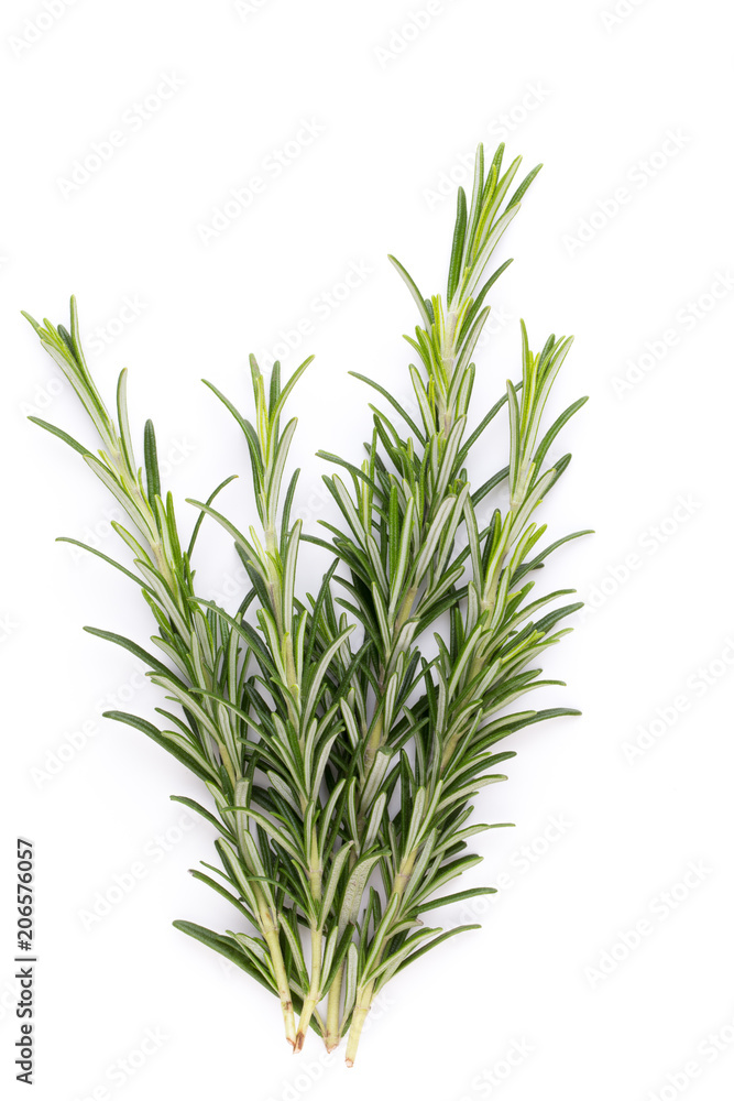 Fototapeta premium Rosemary spice on the white background.