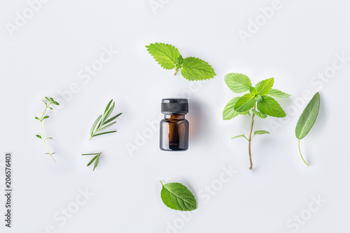 Bottle of essential oil with fresh herbal sage, rosemary, thyme, lemon balm spearmint and peppermint setup with flat lay on white background