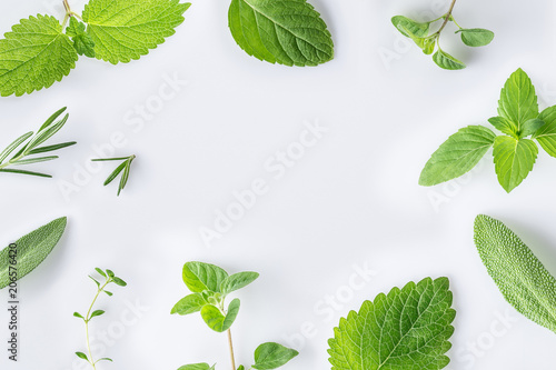 Collection of fresh herbal sage, rosemary, oregano, thyme, lemon balm spearmint and peppermint setup with flat lay on white background