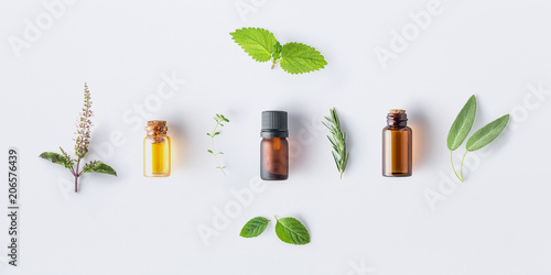 Bottle of essential oil with fresh herbal sage, rosemary, oregano, thyme, lemon balm spearmint and peppermint setup with flat lay on white background