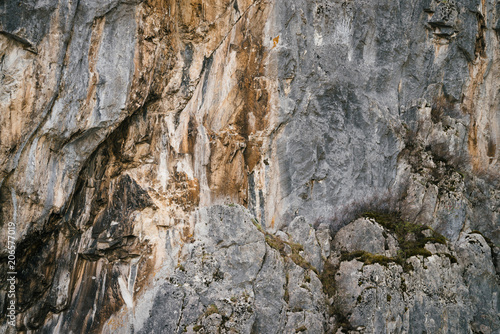 Beautiful rocky gray textured background with mosses and lichens. Surface mountain cliff close-up.
