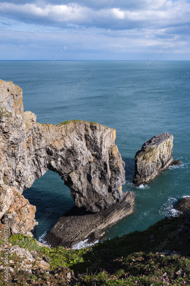Fototapeta premium Green Bridge of Wales St Govans Headland Pembrokeshire Wales