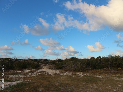 Landschaft auf Kuba