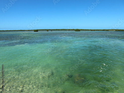 Lagune mit Mangriven auf Kuba, Cayo Coco, Jardines Del Rey