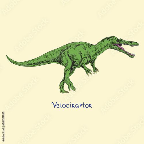 Velociraptor, hand drawn doodle sketch, vector illustration with inscription © ArtoPhotoDesigno