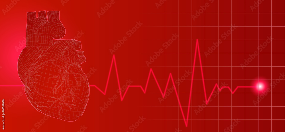 Human heart with heart rate pulse illustration