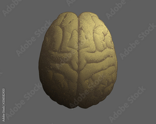 Gold engraving brain on gray BG