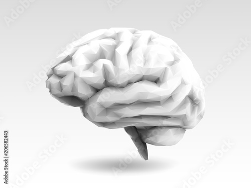 Polygonal white brain isolated on monochrome BG