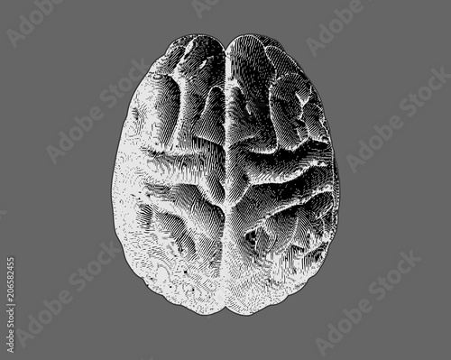 black and white engraving brain on gray BG