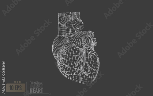 Human brain wireframe on gray BG