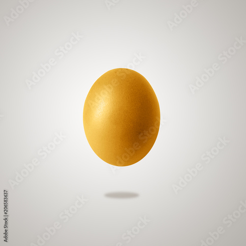 chicken egg and shadow on white background