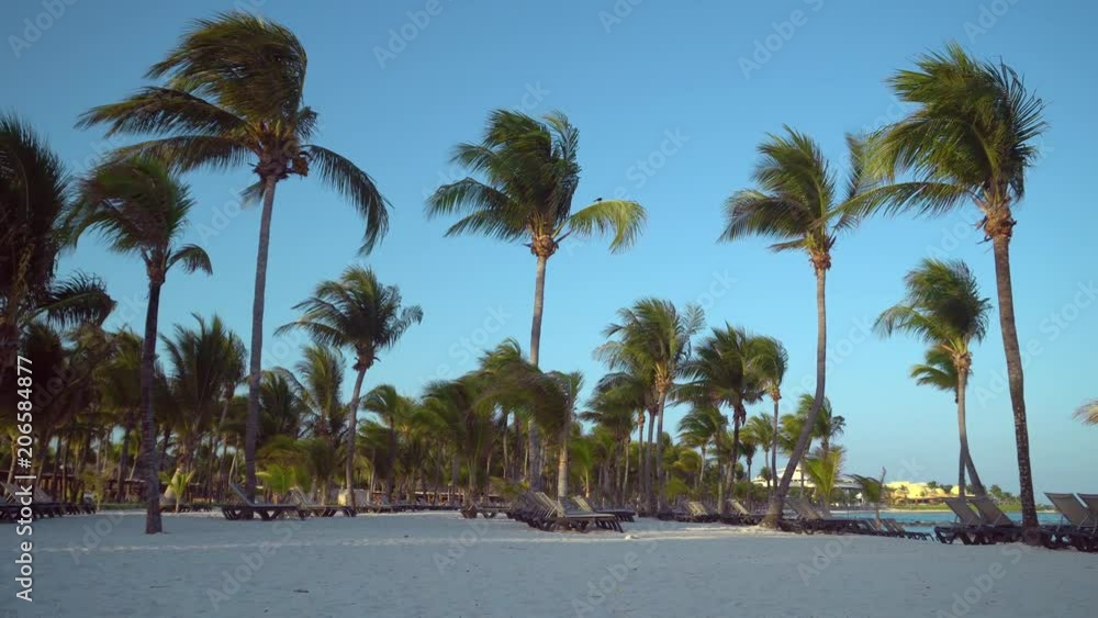 View at luxury resort hotel beach of tropical coast. Leaves of coconut palms fluttering in wind against blue sky. Turquoise water of Caribbean Sea. Riviera Maya Mexico View at luxury resort hotel beach of tropical coast. Leaves of coconut palms fluttering in wind against blue sky. Turquoise water of Caribbean Sea. Riviera Maya Mexico