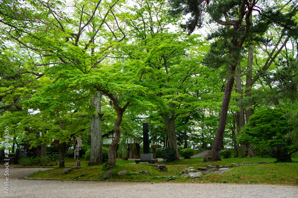 千秋公園の木々
