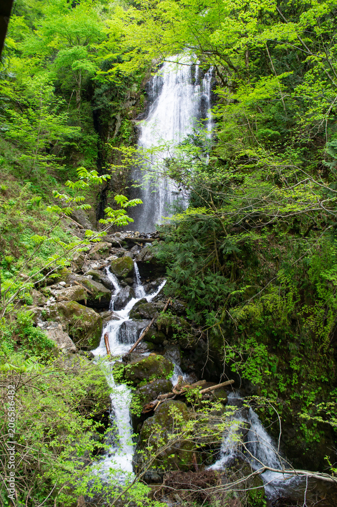 Obraz premium 回顧の滝（秋田県）