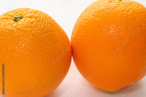 オレンジ フルーツ 果実