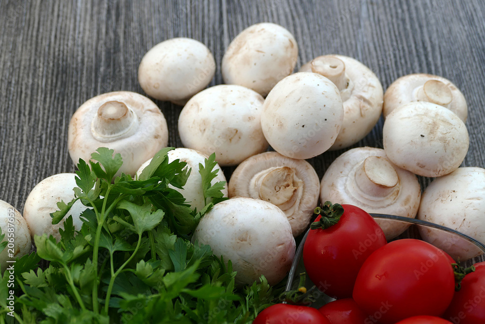 Tomato and parsley next to edible culture mushrooms
Tomato and parsley next to edible culture mushrooms