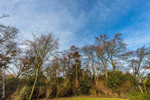 In the park with dramatic sky