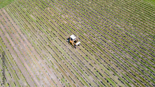 Photo aérienne d'un tracteur traitant un vignoble