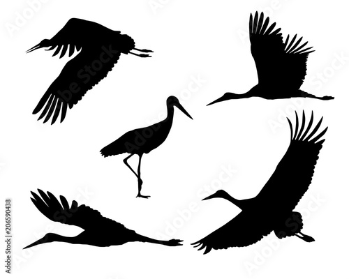 Set of realistic silhouettes stork or heron  flying and standing