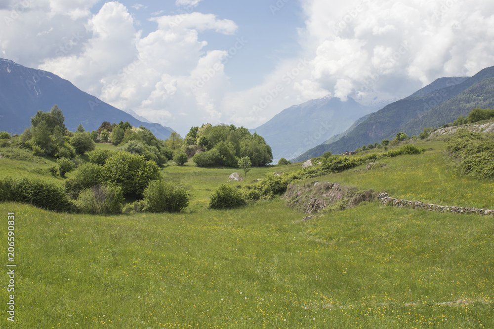 Beautiful natural landscape with green grass, trees, mountains and a blue sky with clouds